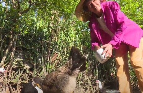 Irma, una guantanamera que apuesta por la agricultura familiar