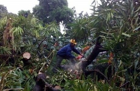 Los trabajadores de ETECSA implementan las medidas para garantizar la vitalidad del sistema de telecomunicaciones y disminuir los daños. Foto: MICOM Cuba. / Twitter.