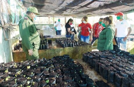 Evalúan en Guantánamo aportes de la ciencia para la producción de alimentos