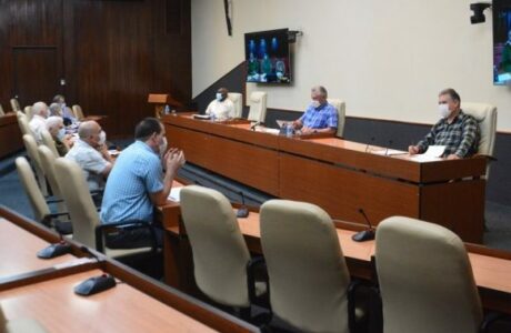 Reunión del Grupo Temporal: Ante la COVID-19, rapidez y rigurosidad