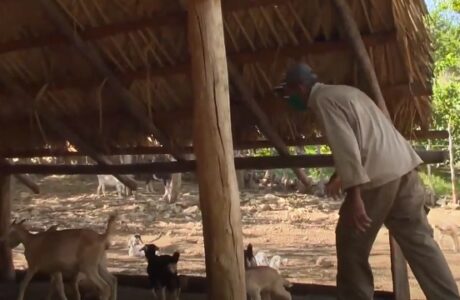 Ciencia e innovación, aliados de los campesinos guantanameros