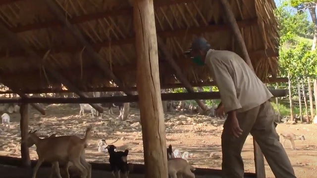 Ciencia e innovación, aliados de los campesinos guantanameros