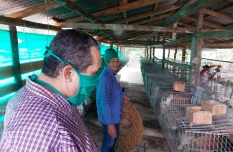 Yateras va por más en la producción de alimentos