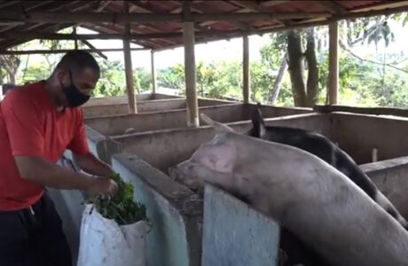 Idilo Abad: consagración y perseverancia