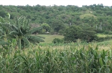 Avalan a la finca La Esperanza en Guantánamo con la condición de agroecológica