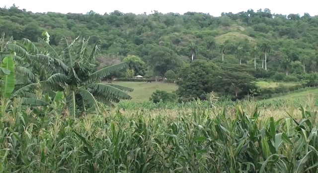 Avalan a la finca La Esperanza en Guantánamo con la condición de agroecológica