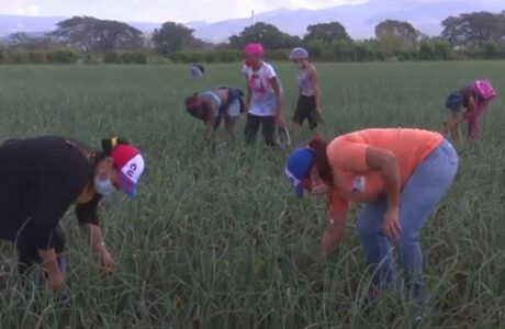 Mujeres guantanameras en la primera línea