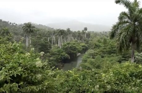 Conectando paisajes para preservar ecosistemas montañosos