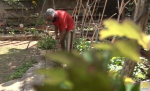 Luis Vinent: un baracoense defensor de la agricultura familiar