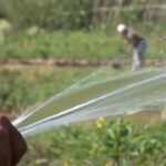 Positivo impacto en Baracoa de nuevas medidas implementadas en el sector agrícola