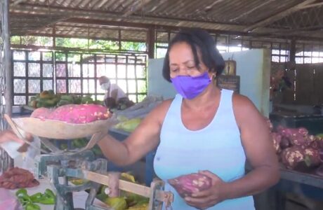 Agricultores guantanameros comprometidos con la producción de alimentos