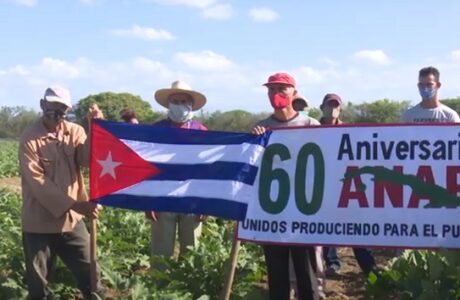 Campesino de Guantánamo, José Antonio Márquez, "el Morito", recibe reconocimiento de la ANAP