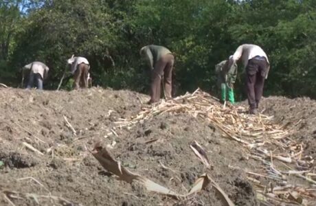 Áreas cañeras y para la producción de alimentos se benefician con reactivación del riego