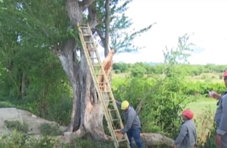 Temporada ciclónica: preparación extrema en tiempos de Covid-19