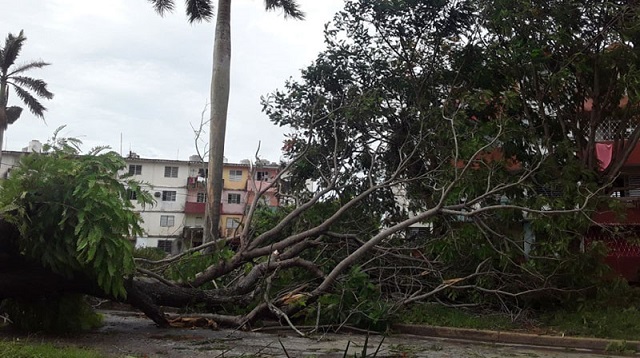 Evalúan daños en occidente de Cuba tras el paso del huracán Ida