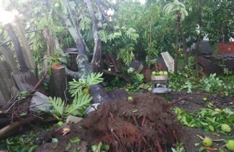 Cuba: Lo que el huracán Ida dejó