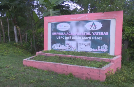 UBPC José Martí: 30 años produciendo desde el lomerío de Yateras