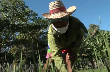 Clodualda Ramos, una mujer sin miedo a la tierra