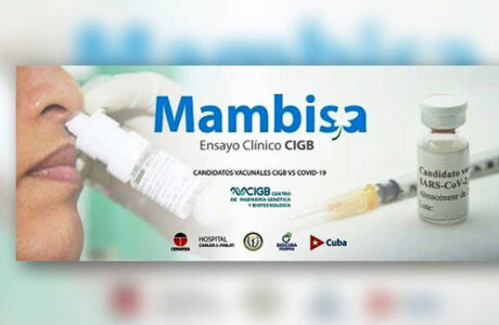 Autoriza CECMED estudio clínico de candidato vacunal Mambisa como dosis de refuerzo