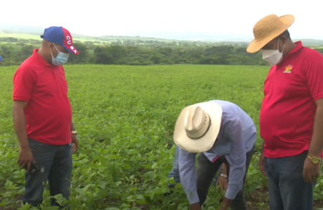 UBPC Alfonso Escalona: un colectivo de referencia
