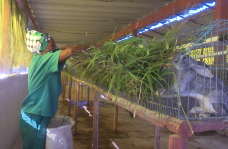 Autoabastecimiento local en la prioridad de los productores guantanameros
