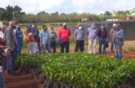 Fructíferos intercambios en Primer Festival del Café en Maisí