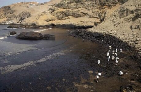 Cadena de sucesos después de un derrame de petróleo