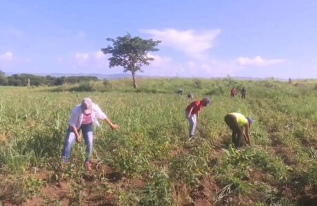 Movimiento obrero guantanamero saluda aniversario 83 de la CTC