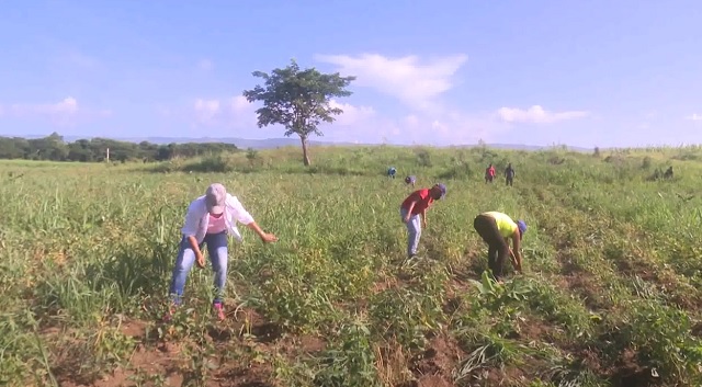 Movimiento obrero guantanamero saluda aniversario 83 de la CTC