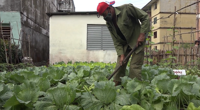 Elvis Luis Durán, hacer producir la tierra sin creer en obstáculos