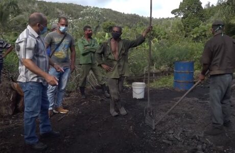 Chequean en Baracoa programa de exportaciones