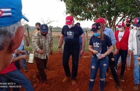 Díaz-Canel saluda aniversario de UJC y OPJM en jornada de trabajo voluntario