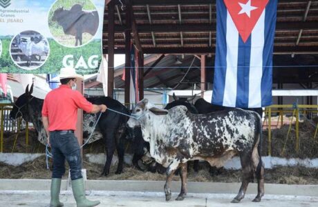 Ronda de negocios hoy en Feria Agroindustrial Alimentaria