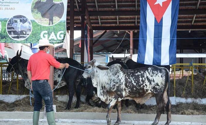 Ronda de negocios hoy en Feria Agroindustrial Alimentaria