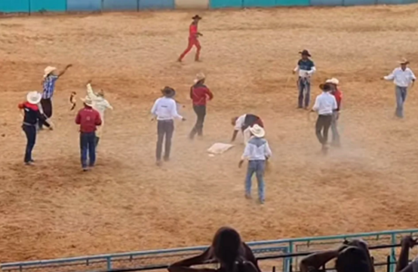Cuba: Sancionados por maltrato animal