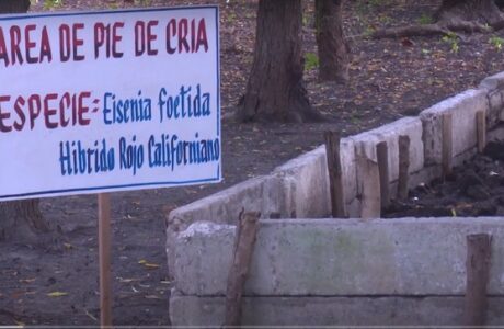 Implementan proyectos ambientales en la franja costera sur de Guantánamo