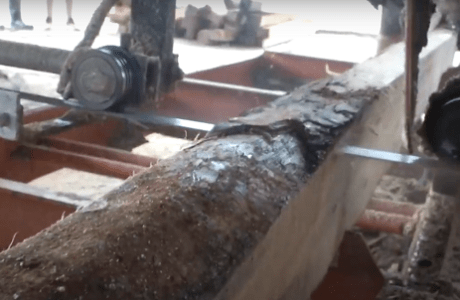 Recuperan madera de los campos en Baracoa para ayudar a damnificados
