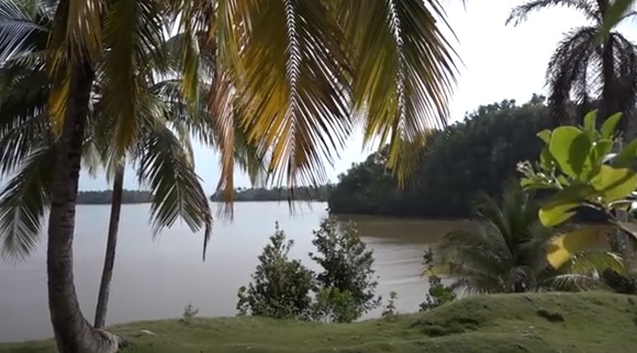 Implementan acciones para mantener el equilibrio de ecosistema en Parque Nacional Alejandro de Humboldt