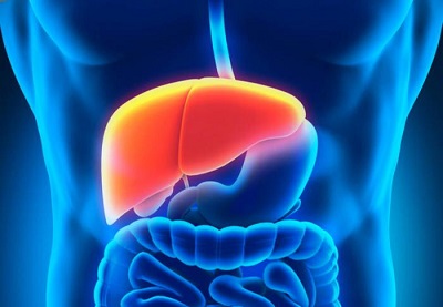 Hepatitis B: Amenaza silenciosa