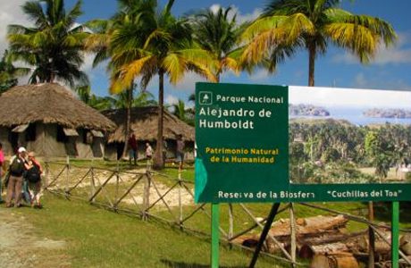 Implementan acciones para mantener el equilibrio de ecosistema en Parque Nacional Alejandro de Humboldt